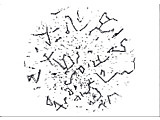 astroterm