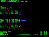 bash