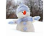 snownews