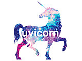 uvicorn